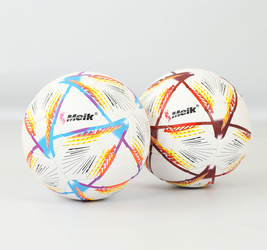 Мяч футбольный.